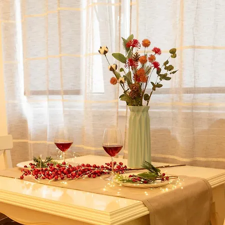 Spacious Close To Center L Washing Machine L Kitchen Apartamento Novi Sad