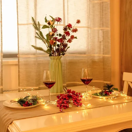 Apartamento Spacious Close To Center L Washing Machine L Kitchen Novi Sad