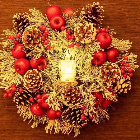 Spacious Close To Center L Washing Machine L Breakfast Daire Novi Sad